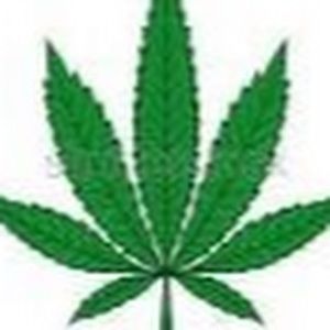 Meet your Posher, Tanner